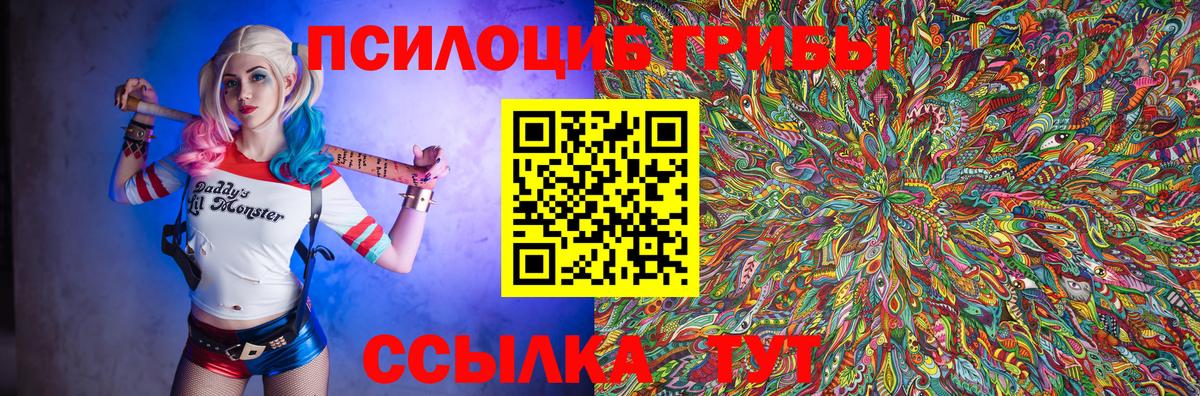 Псилоцибиновые грибы Cubensis Югорск
