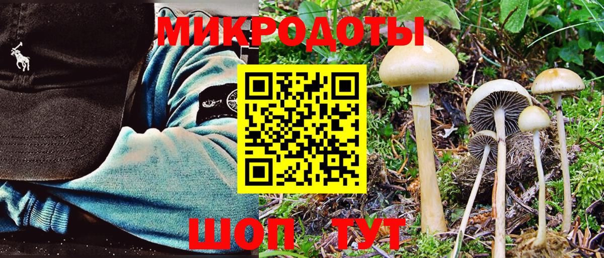 Югорск  где купить наркоту  Вход с VPN  Галлюциногенные грибы Cubensis 